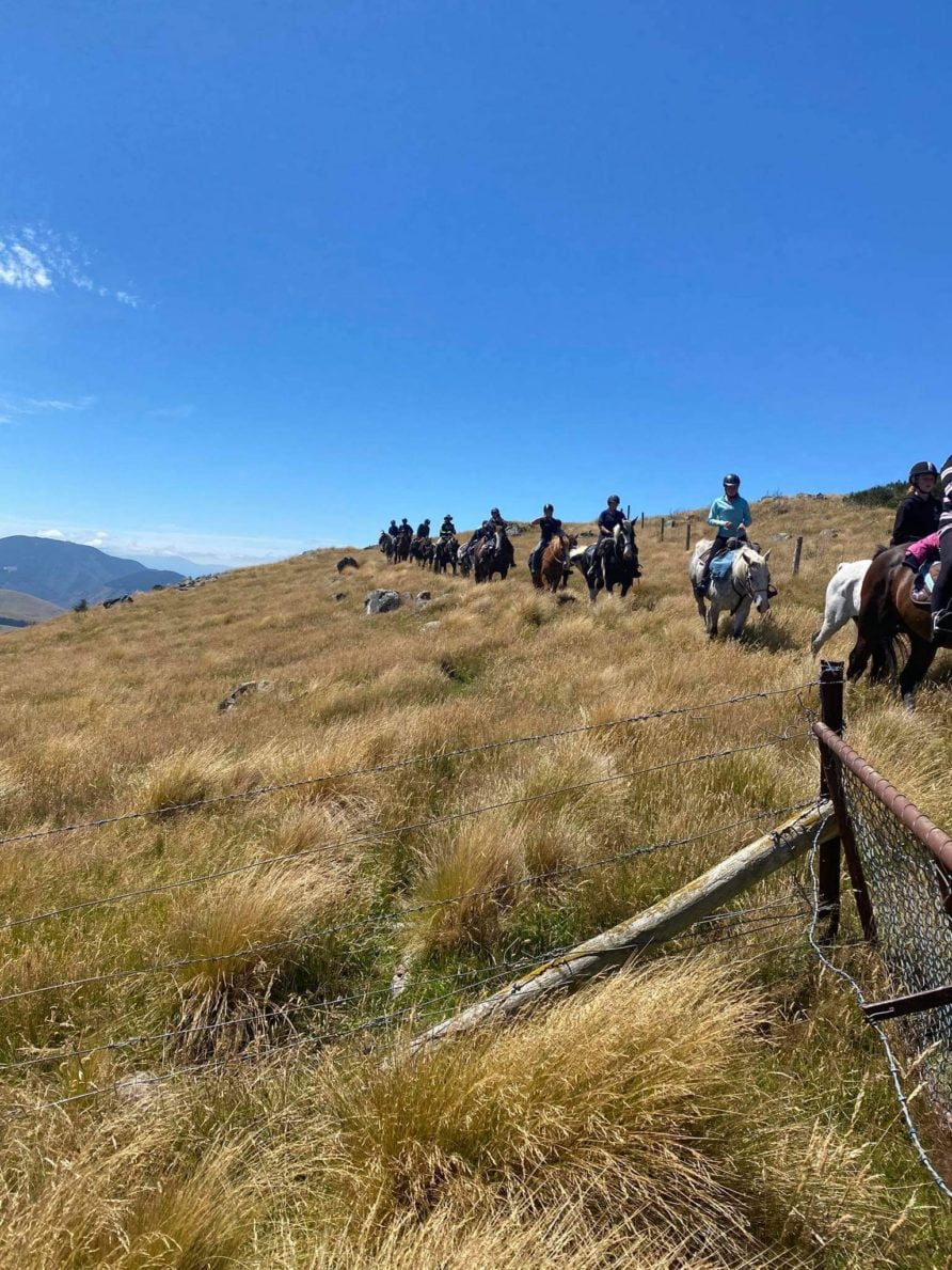 shearers quarters quartz hill station accommodation farm stay selwyn lake coleridge